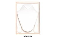 3D-HARAM-copy1