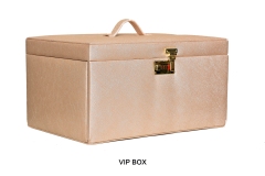 VIP-BOX-copy